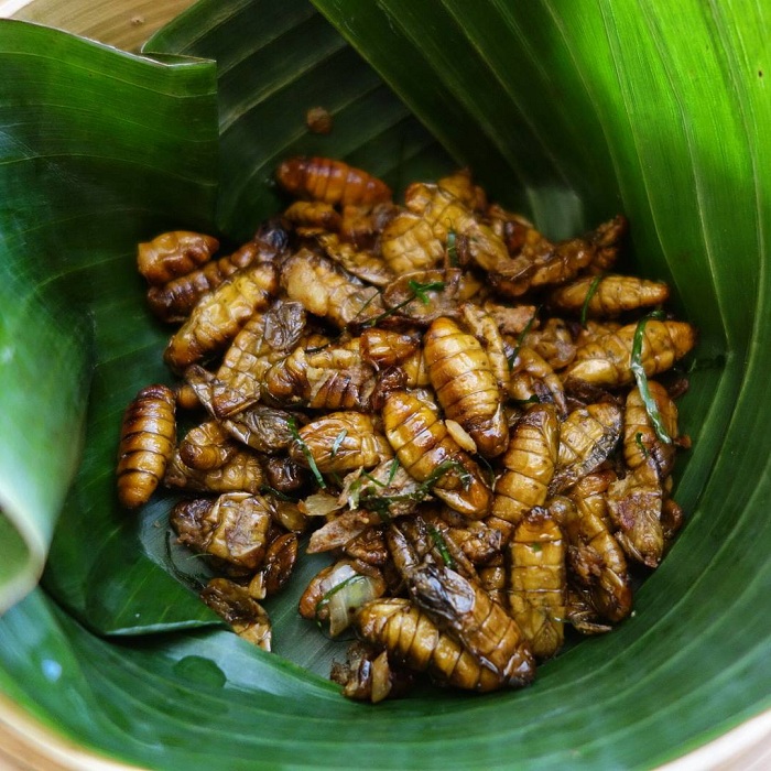 spécialités Mu Cang Chai larves